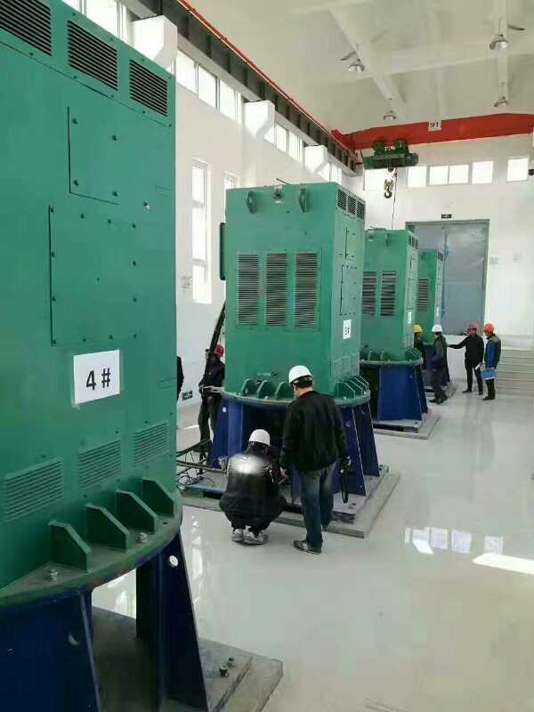 汉中某污水处理厂使用我厂的立式高压电机安装现场